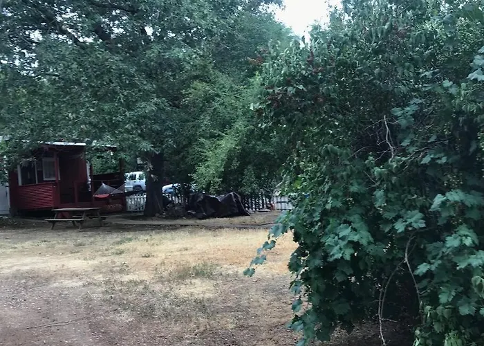 Cozy, Cheerful & Charming Cabin - Historic Julian